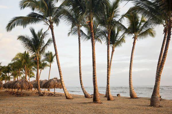 Excellence El Carmen (Adults Only) Hotel Punta Cana Buitenkant foto